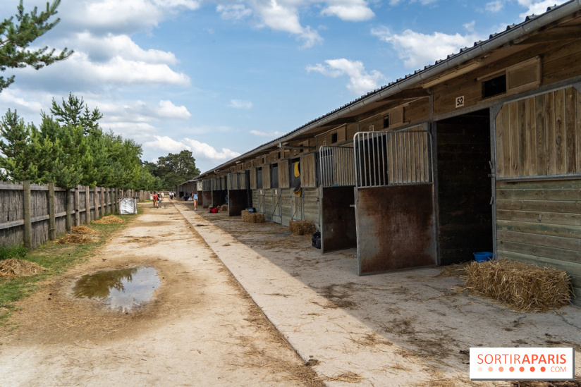 Le Grand Parquet Fontainebleau - photos  - A7C02565