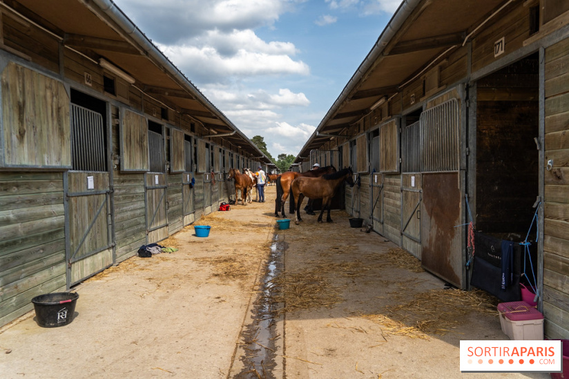 Le Grand Parquet Fontainebleau - photos  - A7C02566