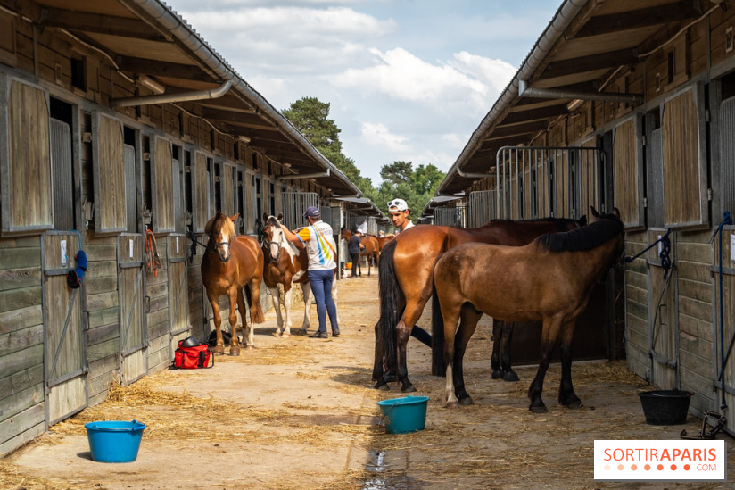 Le Grand Parquet Fontainebleau - photos  - A7C02567