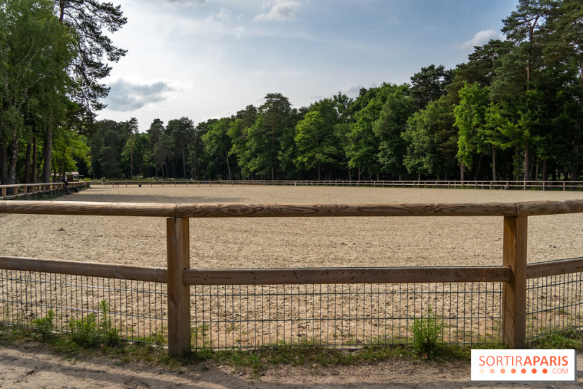 Le Grand Parquet Fontainebleau - photos  - A7C02569