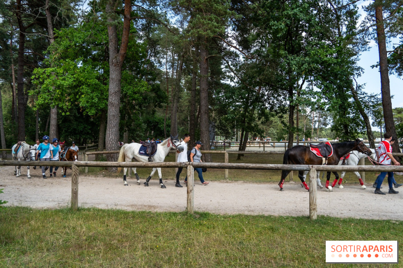 Le Grand Parquet Fontainebleau - photos  - A7C02570