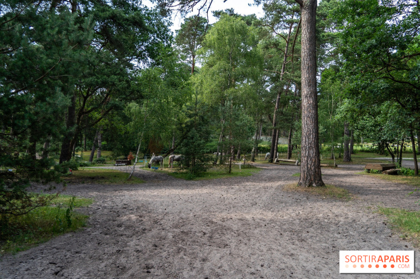 Le Grand Parquet Fontainebleau - photos  - A7C02571