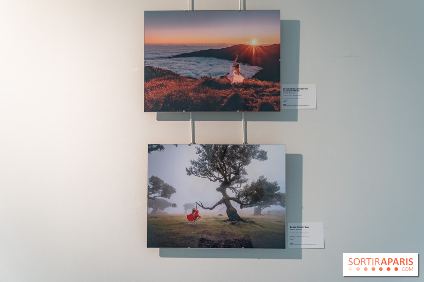 Exposition Dancing the Earth au Couvent de l'Annonciation Paris 8e