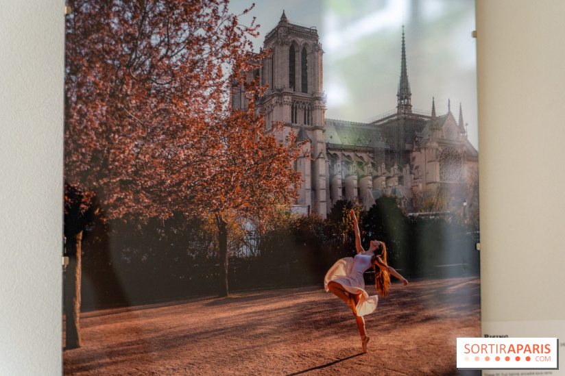 Exposition Dancing the Earth au Couvent de l'Annonciation Paris 8e