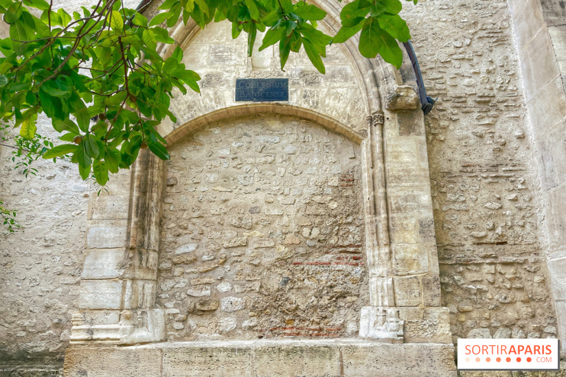 Jardin Médiéval du Musée de Cluny - IMG 3873