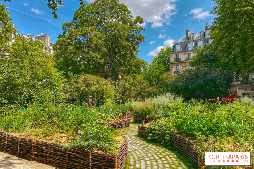 Jardin Médiéval du Musée de Cluny - IMG 3877