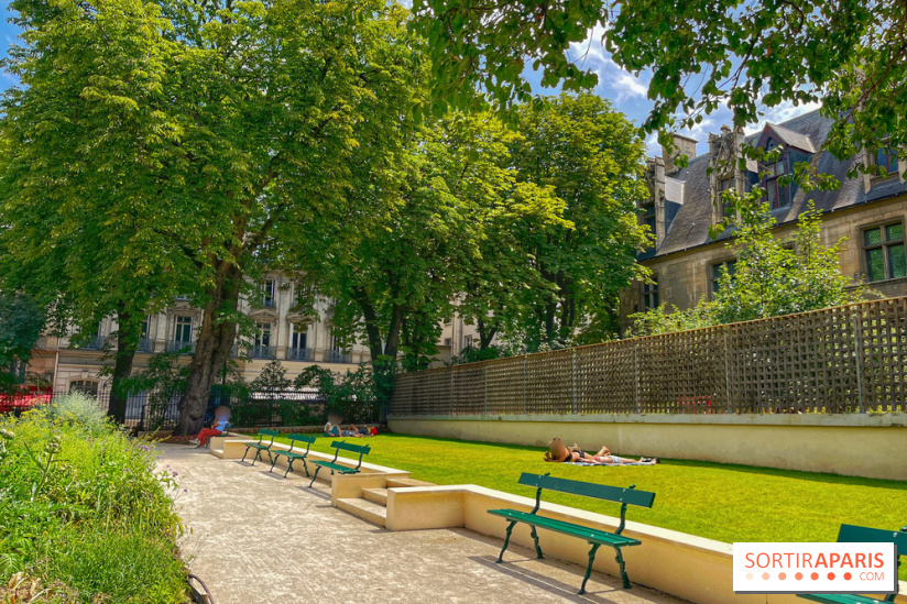 Jardin Médiéval du Musée de Cluny - IMG 3900
