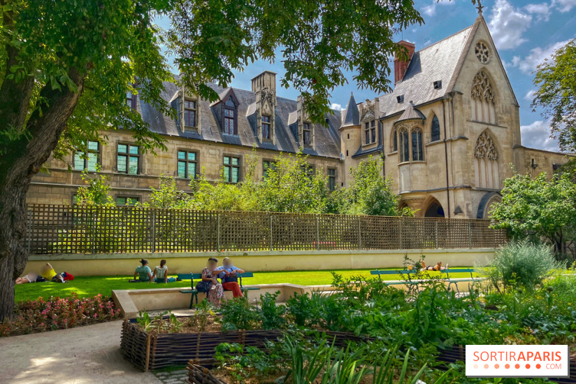 Jardin Médiéval du Musée de Cluny - IMG 3901