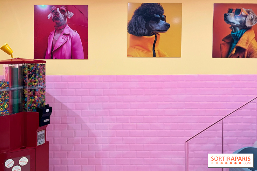 Patapwouf, le spot cani-friendly de Saint-Ouen - nos photos - 3A056E7A 515A 49BC 9E6D D01399762918