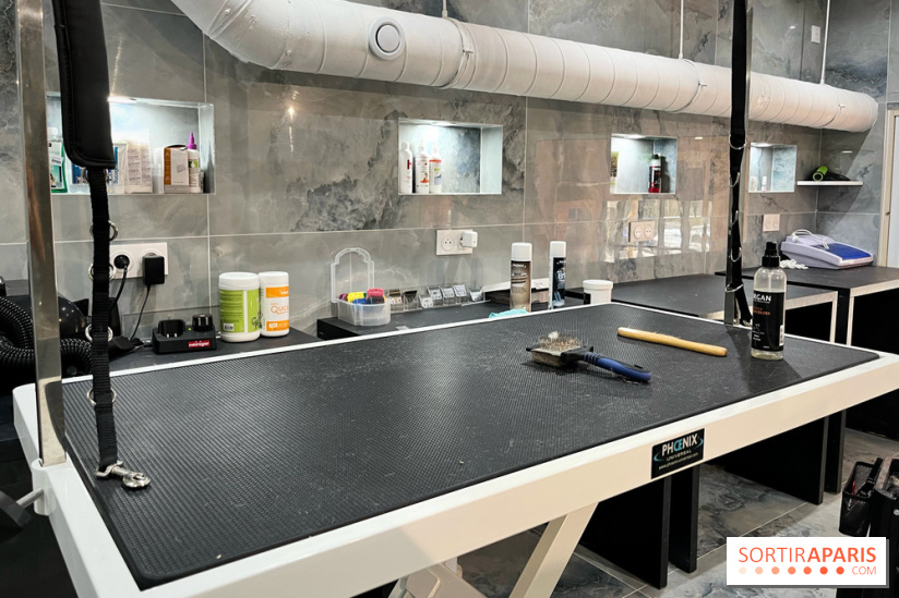 Patapwouf, le spot cani-friendly de Saint-Ouen - nos photos - 393556D9 EA36 4DFD 8540 3C17E3D5F509