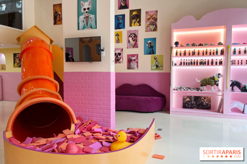 Patapwouf, le spot cani-friendly de Saint-Ouen - nos photos - A20E0070 2D50 49D7 8DC4 7B247EC53339