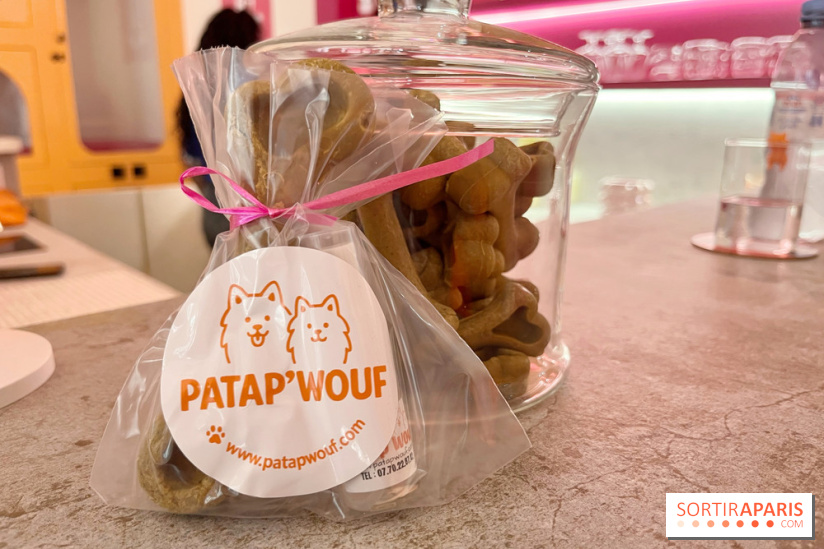 Patapwouf, le spot cani-friendly de Saint-Ouen - nos photos - CBA74623 0EBE 44FA 9FFF 1E1D19587CD5