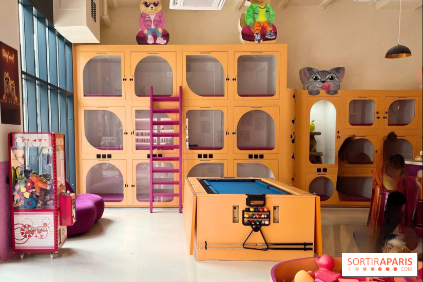 Patapwouf, le spot cani-friendly de Saint-Ouen - nos photos - E7F868A7 A82B 4EE0 8E78 092C9C69CFA4