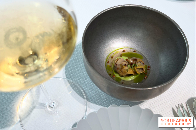 Geoélia - Bulot, nage, laurier