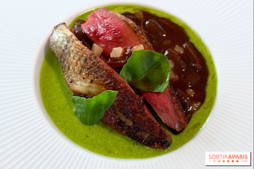 Geoélia - Pigeon rôti, gnocchi aubergine, velouté oseille