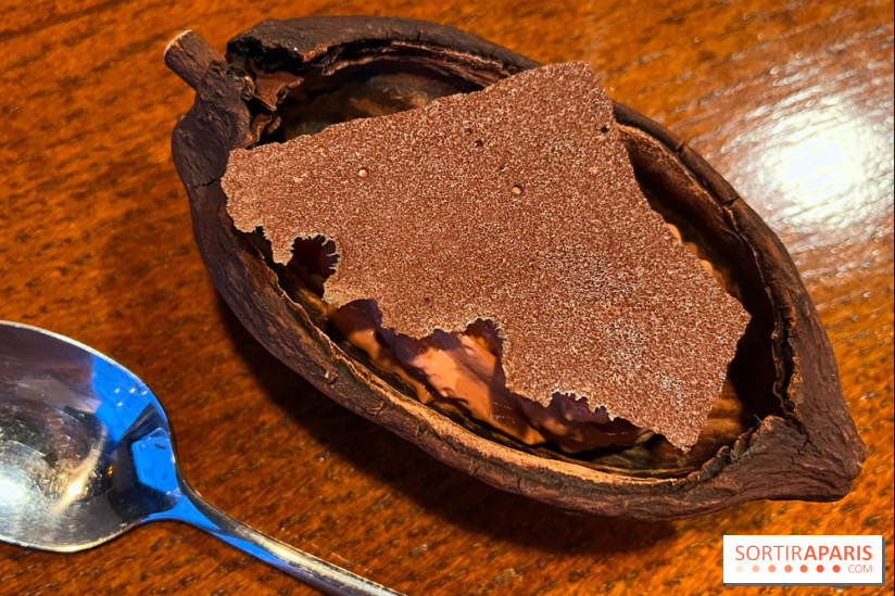 Machizo - Mousse chocolat, glace estragon