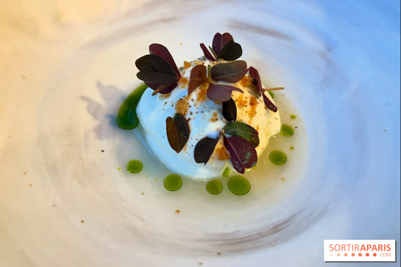 Machizo - Brillat-Savarin, citron vert, poivre noir