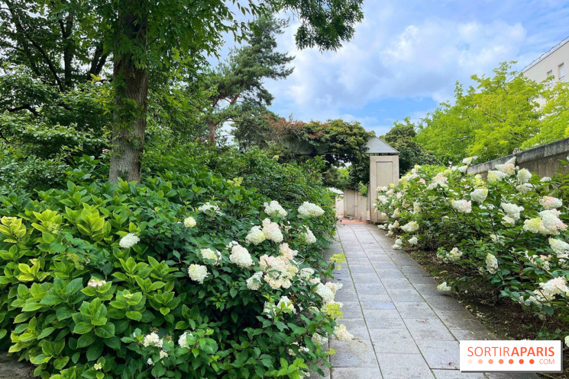 Square Eugénie Djendi - nos photos - 27729B0F A44E 4F1C B37B 417BAD0CEA02