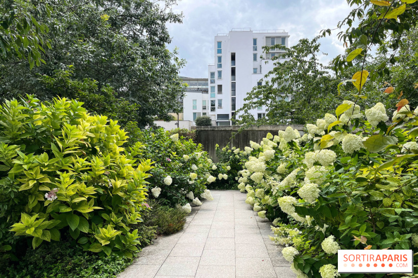 Square Eugénie Djendi - nos photos - 4730EF26 B235 4FFF 8071 C37EB3899BA6