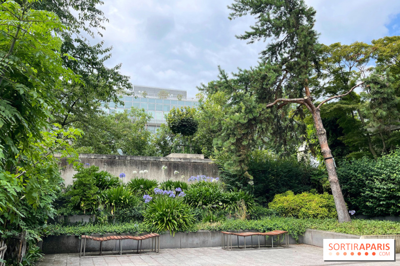 Square Eugénie Djendi - nos photos - EAA561DA 8305 4BA9 B12D 98BC68D5370B