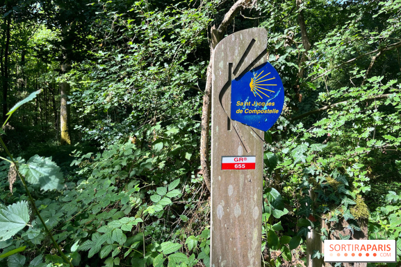 Paris-Rambouillet à pied - nos photos - D75E4A73 64B0 4B6E 98CC EE1F139AD148