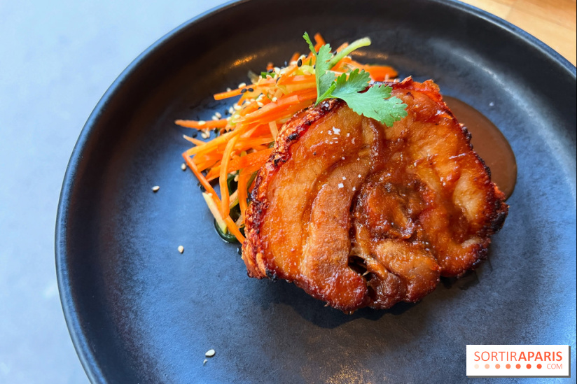 Shuzo - Chashu-Chicharron