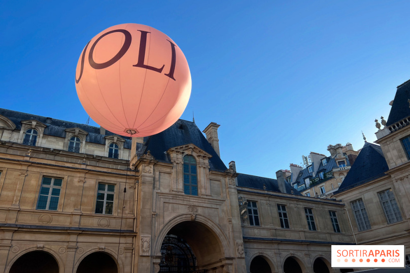 Joli, Musée Carnavalet - Terrasse jardin musée