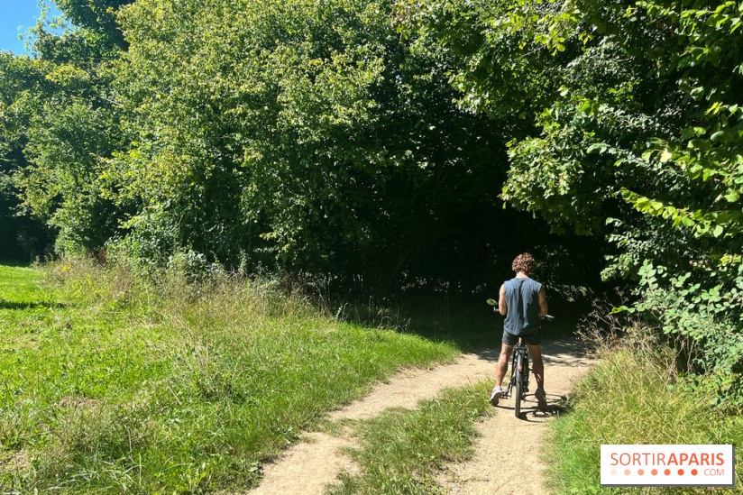 Vélo en bords de Marne - nos photos - 08AD9137 E902 47D9 921D 700C55B8FEB8