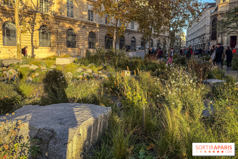 Jardin mémoriel du 13 novembre 2015 - Jardin du Souvenir - nos photos - IMG 1809