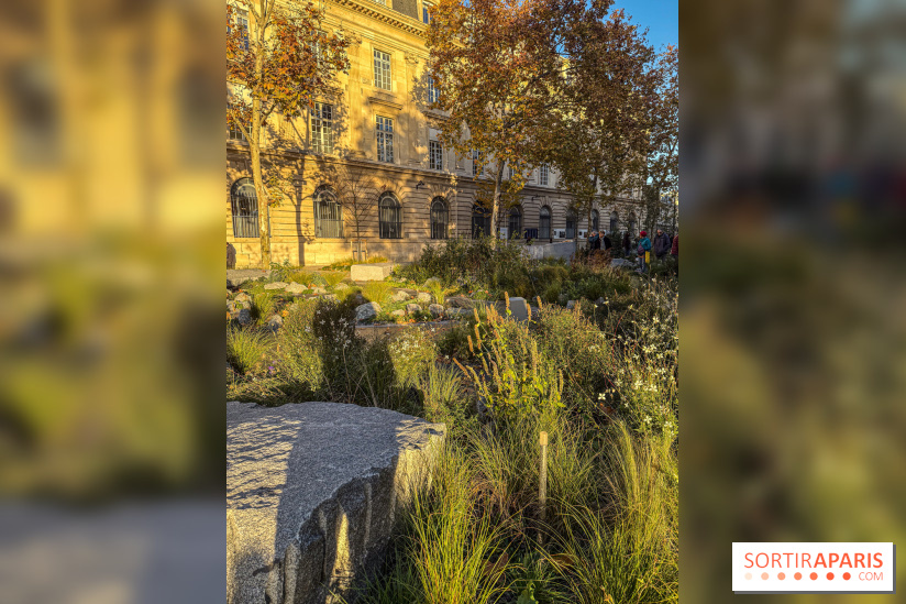 Jardin mémoriel du 13 novembre 2015 - Jardin du Souvenir - nos photos - IMG 1812