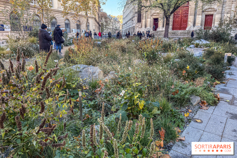 Jardin mémoriel du 13 novembre 2015 - Jardin du Souvenir - nos photos - IMG 1814