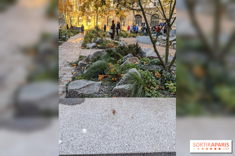 Jardin mémoriel du 13 novembre 2015 - Jardin du Souvenir - nos photos - IMG 1825