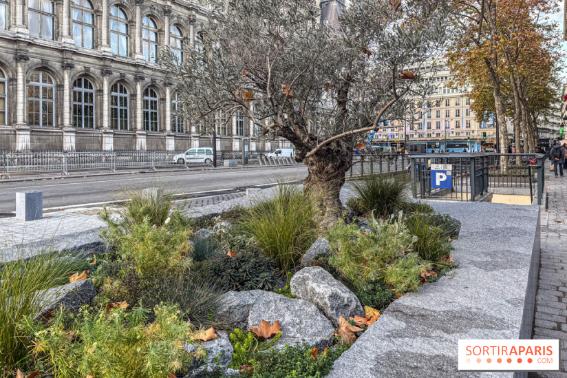 Jardin mémoriel du 13 novembre 2015 - Jardin du Souvenir - nos photos - IMG 1835