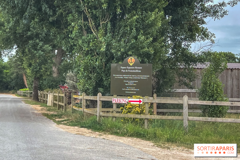 Balade en chevaux Henson en forêt de Fontainebleau