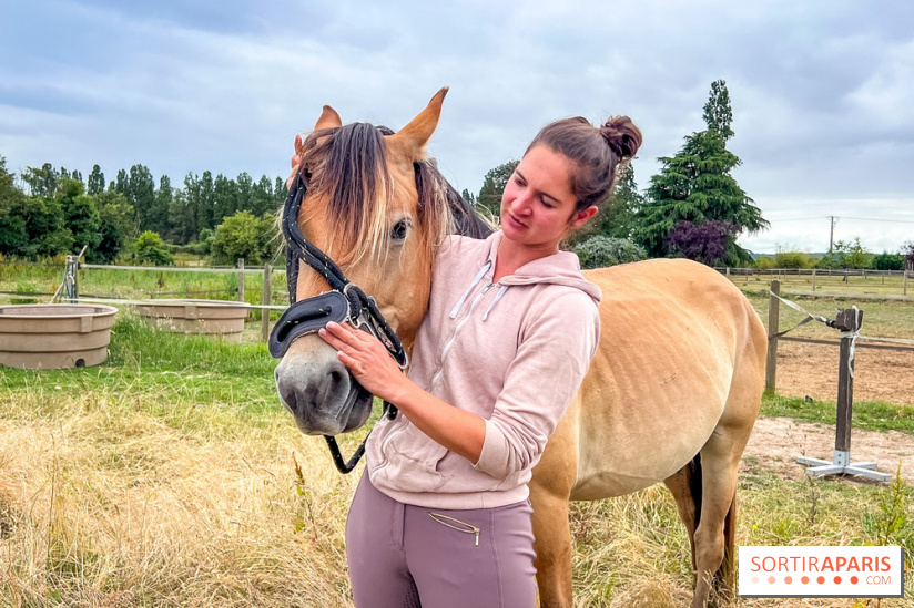 Balade en chevaux Henson en forêt de Fontainebleau  - IMG 1989