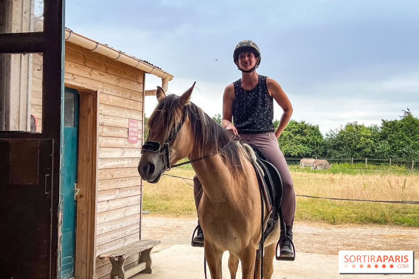 Balade en chevaux Henson en forêt de Fontainebleau  - IMG 2023