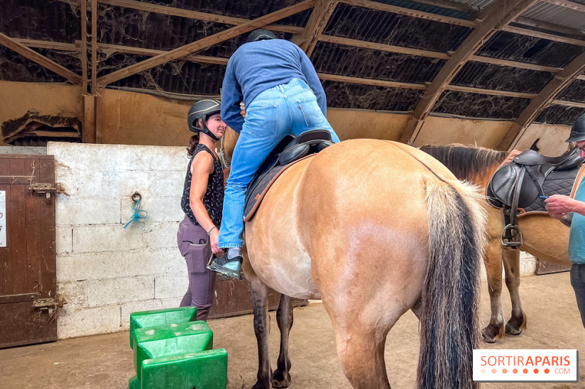 Balade en chevaux Henson en forêt de Fontainebleau  - IMG 2026