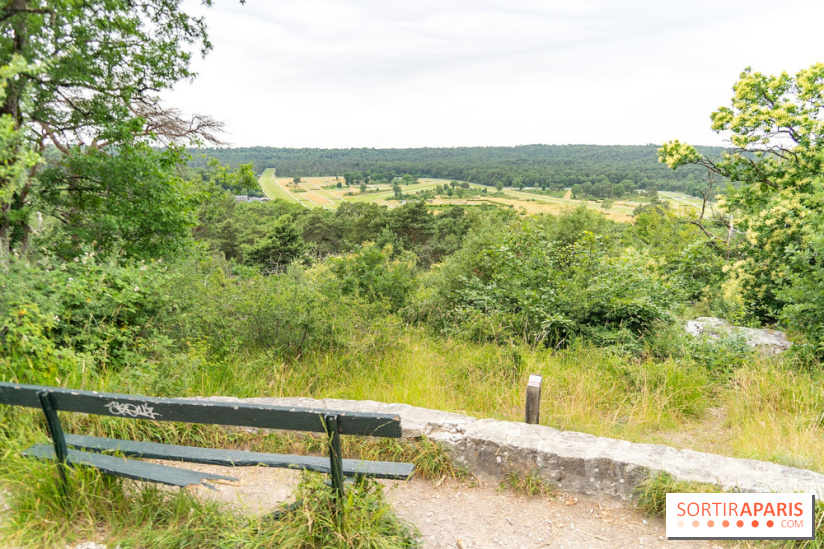L'Hippodrome de la Solle à Fontainebleau - photos - A7C02778