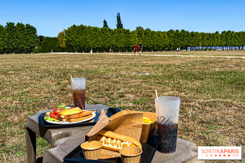Guinguette 1124 domaine du château de Saint-Germain-en-Laye - IMG 4649 jpg