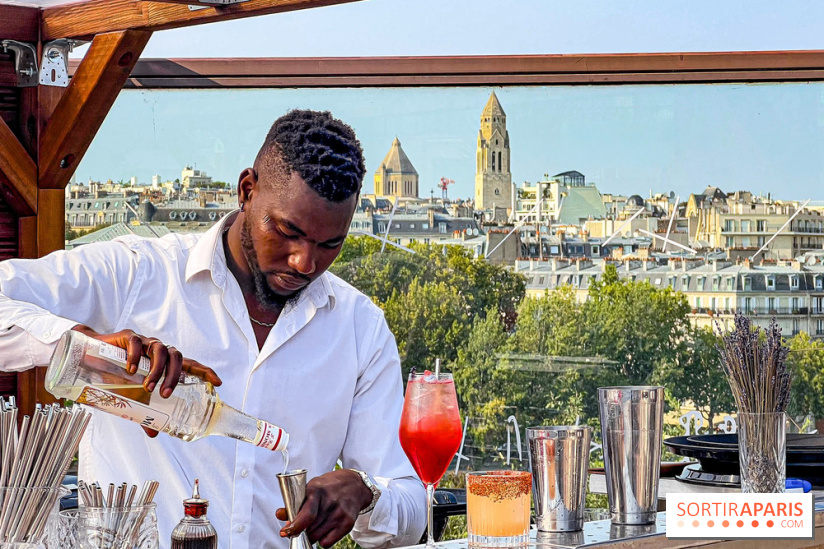 Bar Les Ombres : cocktails & tapas sur le rooftop du Musée du Quai Branly avec vue sur la tour Eiffel - IMG 4111 jpg