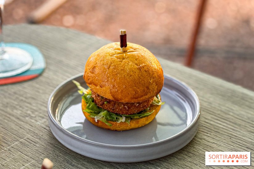 Bar Les Ombres : cocktails & tapas sur le rooftop du Musée du Quai Branly avec vue sur la tour Eiffel - IMG 8121
