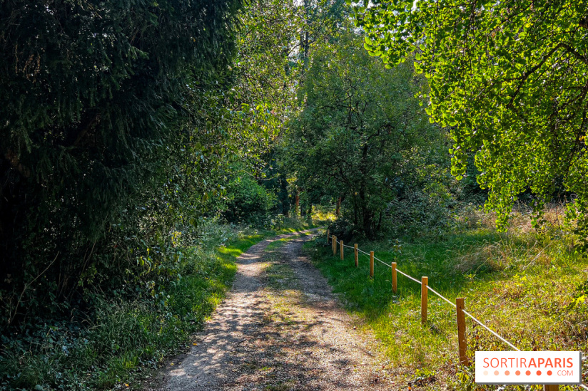 Parc de la Roseraie Châtenay - IMG 4428 jpg