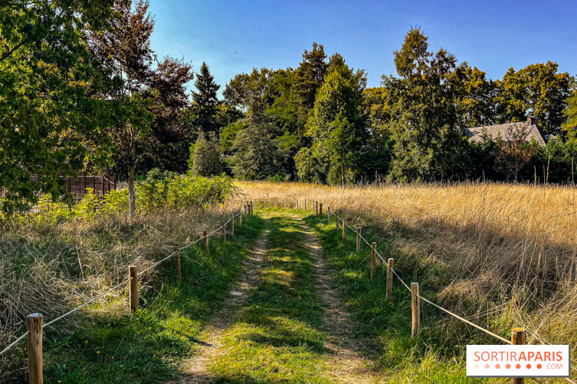 Parc de la Roseraie Châtenay - IMG 4435 jpg