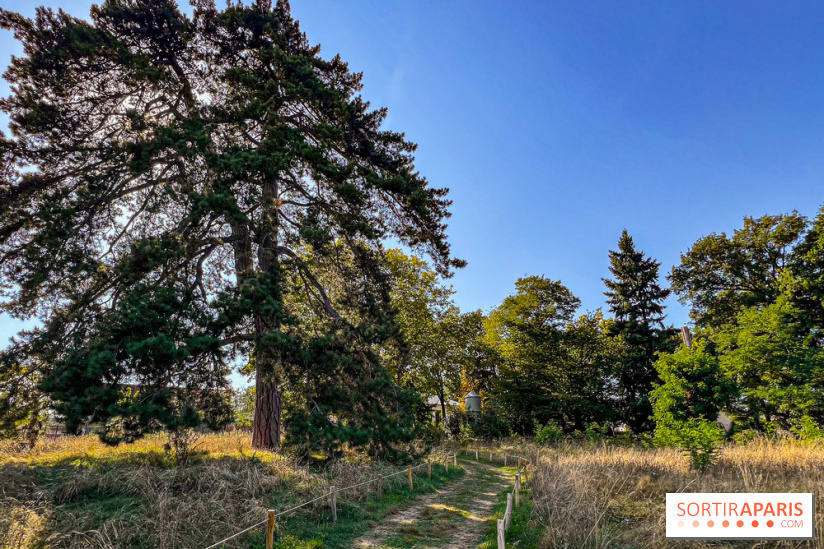 Parc de la Roseraie Châtenay