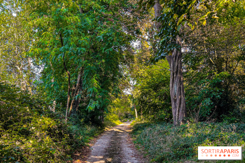 Parc de la Roseraie Châtenay - IMG 4451 jpg