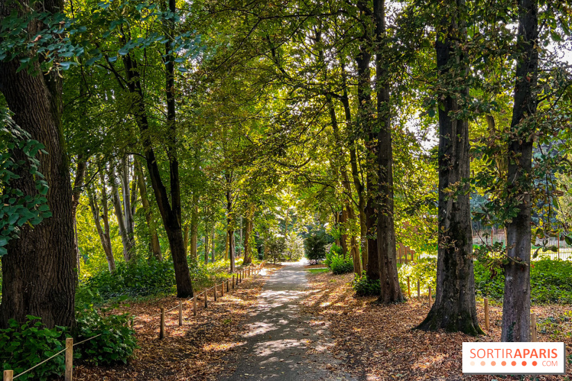 Parc de la Roseraie Châtenay - IMG 4458 jpg 2