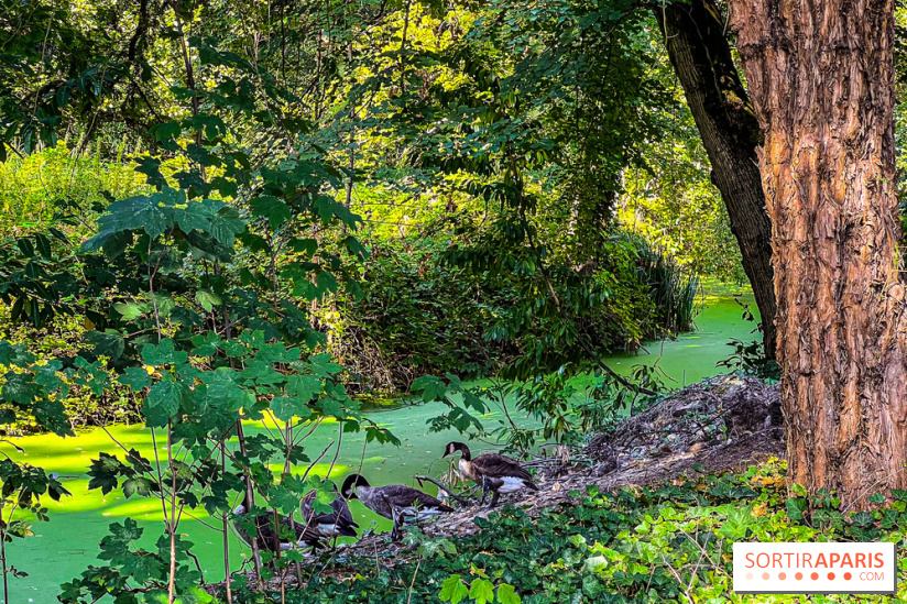 Parc de la Roseraie à Chatenay Malabry (92) : 8 hectares de verdure classés Monument Historique