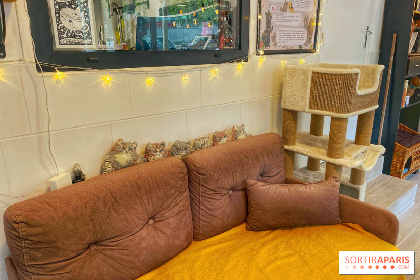 Chat-Rivari Café - IMG 4689