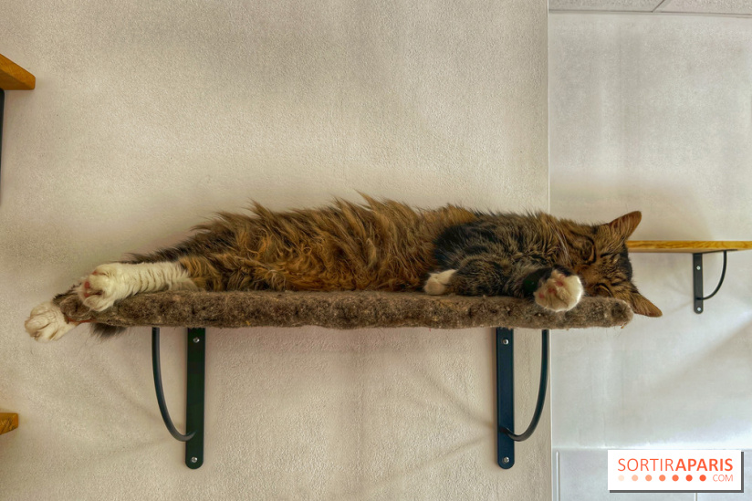 Chat-Rivari Café