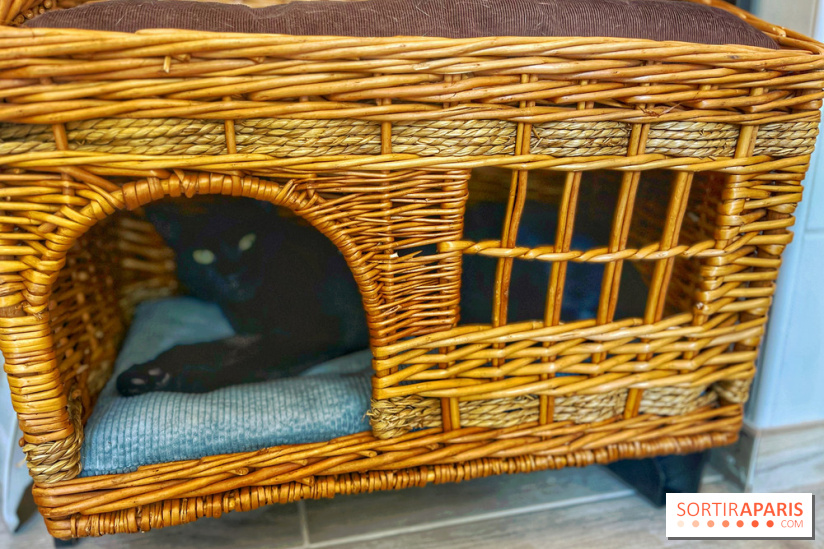 Chat-Rivari Café